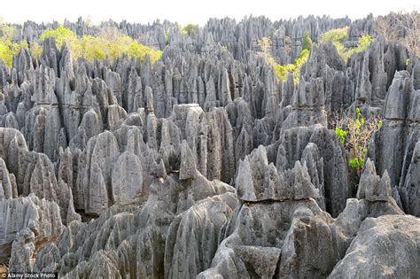 Inside Madagascars Tsingy De Bemaraha National Park Daily Mail Online