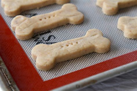 Best 15 Vegan Dog Treat Recipes Easy Recipes To Make At Home