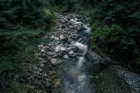Free Stock Photo Of Creek Nature Stones