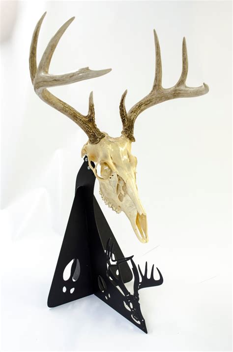 Items Similar To European Deer Skull Mount Kit Handcrafted Pedestal