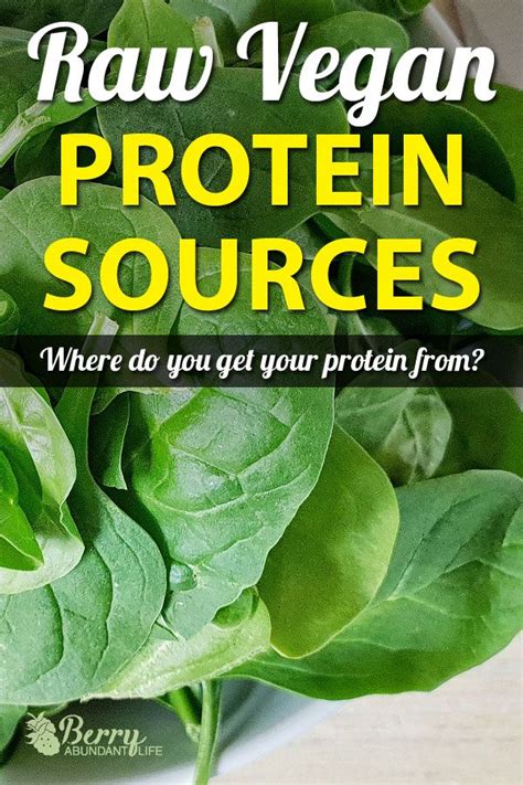 Raw Vegan Protein Sources Vegan Protein Sources Raw Vegan Vegan Protein
