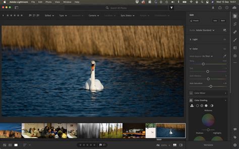 Adobe Lightroom Vs Adobe Lightroom Classic Which Is Best For You