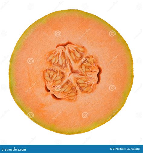 Orange Fresh Melon Stock Photo Image Of Food Refreshment 24763432