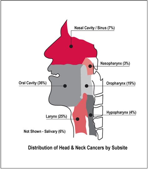 Head And Neck Cancer And Hpv Oral Health Health