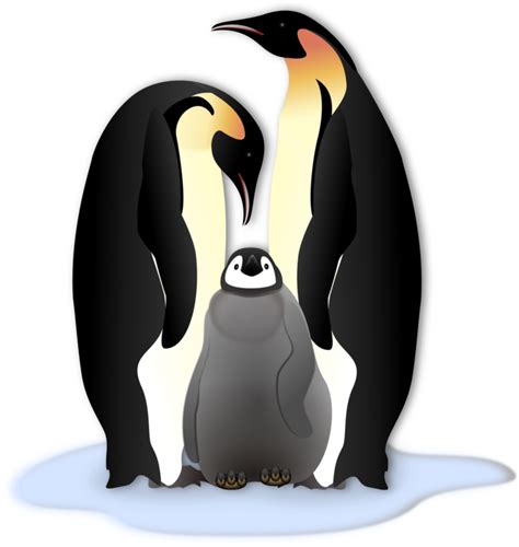 Standing King Penguin Png Hd Image Png All Png All
