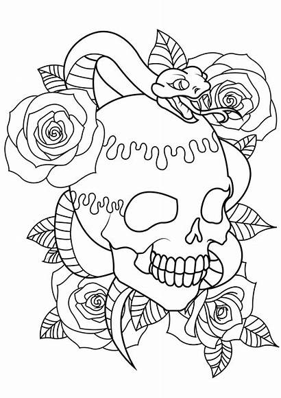 Coloring Tattoo Adults Skull