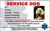 Fake Service Dog Id Pictures