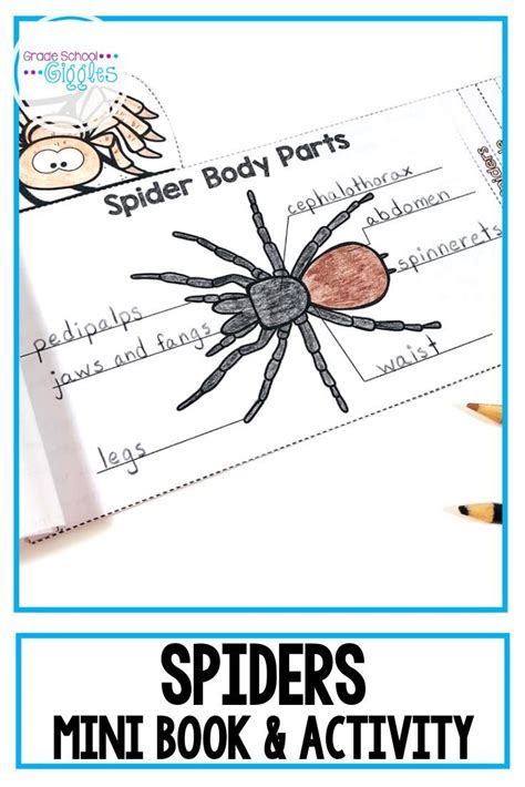 Spiders Make A Great Unit Topic For October They Tie Into Many Science