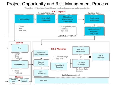 Project Opportunity And Risk Management Process Presentation Graphics