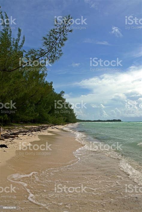 Gold Rock Beach Grand Bahama Bahamas Stock Photo Download Image Now