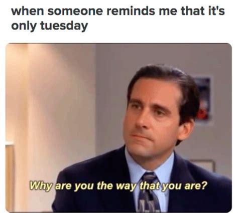 Getting bored on a tuesday afternoon? Tuesday Memes: The Best Memes for the Worst Day of the Week