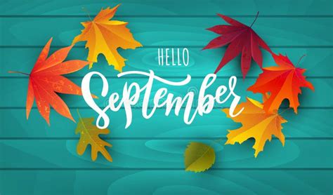September Text Lettering Typography Stock Vector Illustration Of