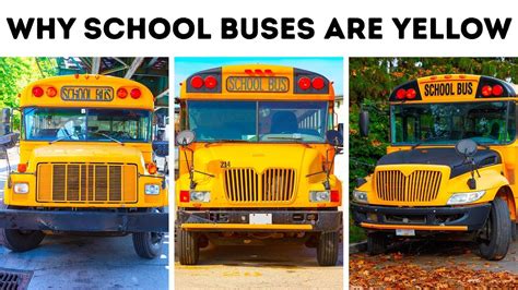 Why School Buses Are Yellow Youtube