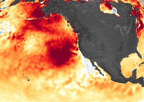 Massive Marine Heatwave Strikes The Northeastern Pacific
