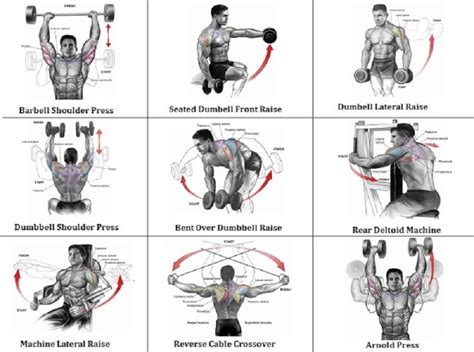 5 Best Shoulder Exercises That Can Turn You Into Beast