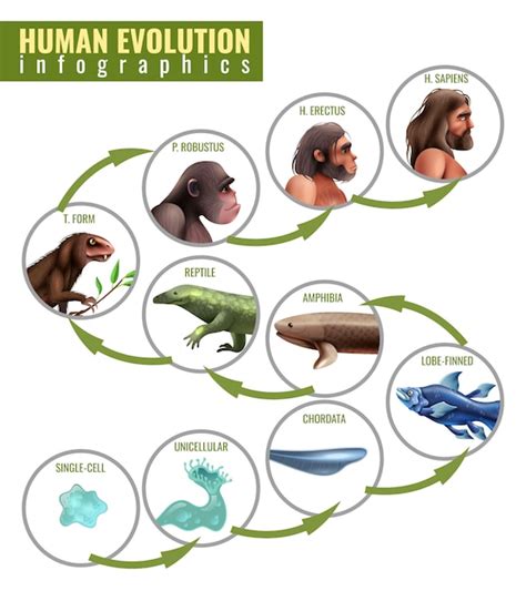 Evolutionary Biology Images Free Download On Freepik