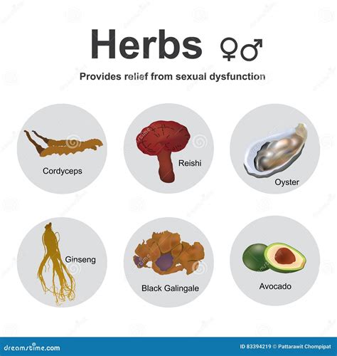 herbs sexual dysfunction stock vector illustration of dysfunction 83394219