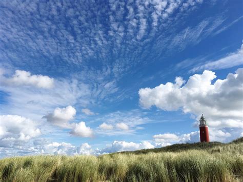 Grass Lighthouse Cloud Sky Sky Guidance Safety Field