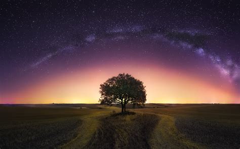 1920x1200 Milky Way Tree Field 1200p Wallpaper Hd Nature 4k Wallpapers