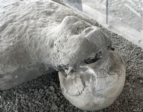 14 Agonizing Photos Of Pompeiis Bodies Frozen In Time Mr Mehra