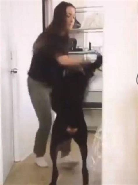 Youtuber Under Investigation After Pushing And Spitting On Her Dog In