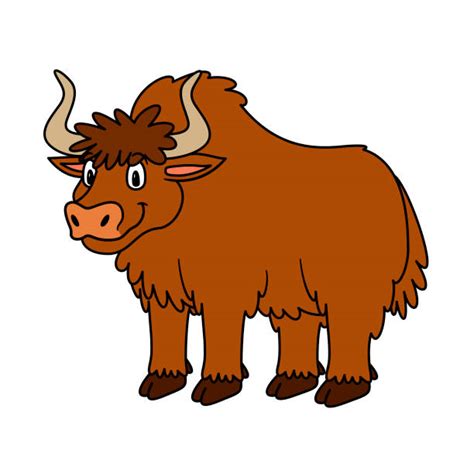 Clip Art Of A Yak Animal Illustrations Royalty Free Vector Graphics