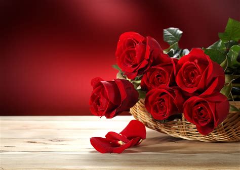 3840x2731 Roses 4k Full Hd Background Rose Photography Photography