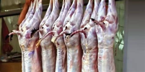 Is it allowed in islam? Haram meat and pork being sold in Punjab - HTV