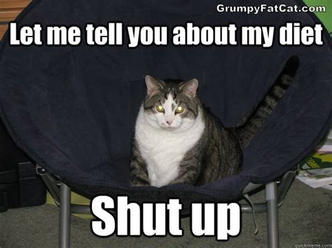 Grumpy Cat Diet Memes Diynews
