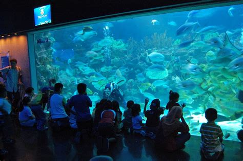 People Are Sitting In Front Of An Aquarium