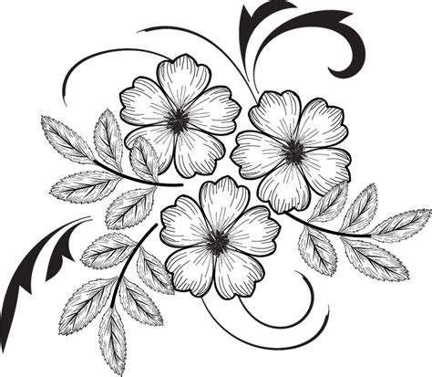 Dessin Fleur Croquis De Fleurs Broderie Fleurs Flower Drawing Easy