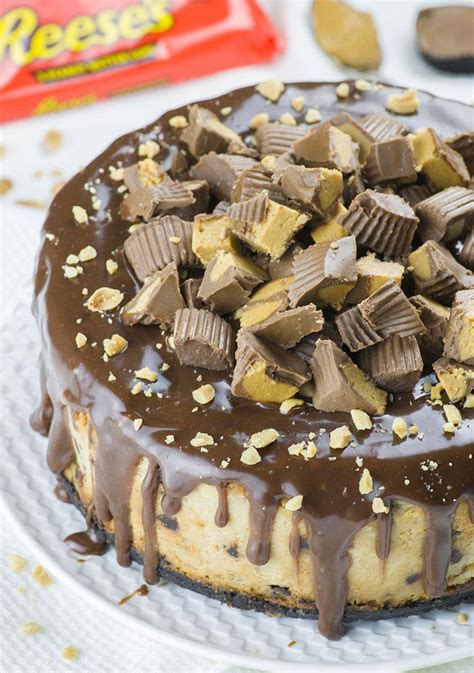 Chocolate Peanut Butter Cheesecake An Easy Reese S Cup Cheesecake