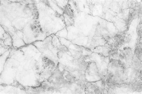 White and grey marble background. Gray marble background » Background Check All