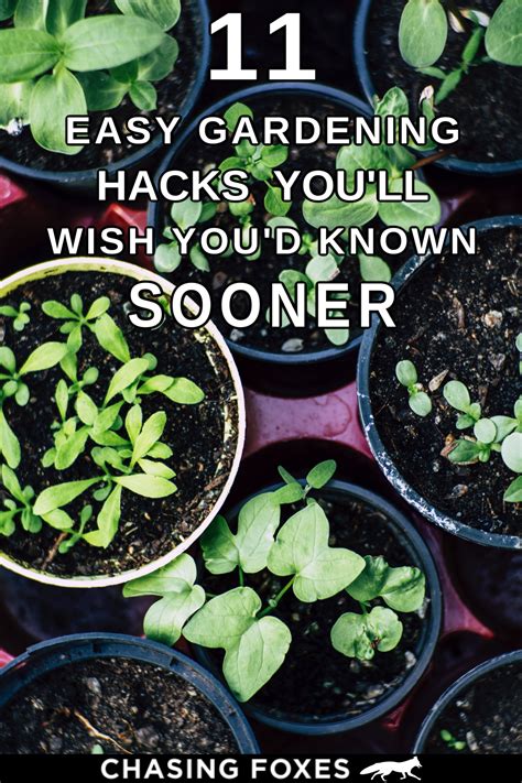 11 easy gardening hacks and tips you ll wish you d known sooner easy gardening hacks