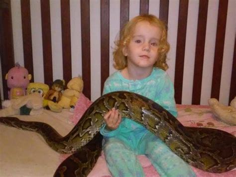 Python Snake Wrapped Around Baby Girl Snake Handler Video