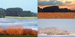 Frühling, Sommer, Herbst, Winter Foto & Bild | jahreszeiten, frühling ...