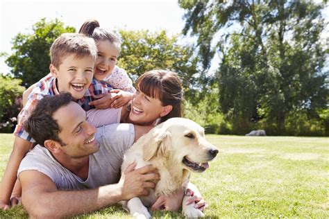 Claves Para Conseguir La Foto De Familia Perfecta