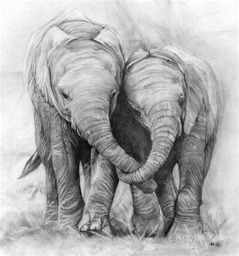 Elephant Color Pencil Drawing