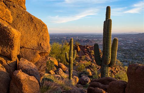 Best Things To Do In Phoenix Important Things Live For Travel