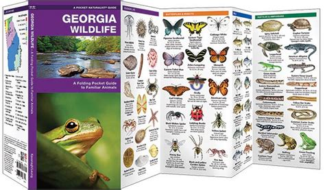Georgia Wildlife Pocket Naturalist Guide