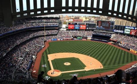 MLB Video Gato Invade Terreno De Juego En Yankees Vs Orioles