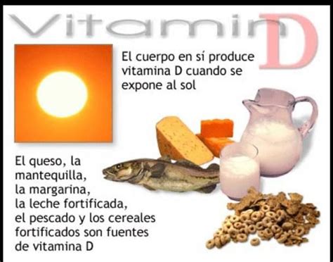 Fuentes De Vitamina D Comida Y Sus Beneficios Para La Salu