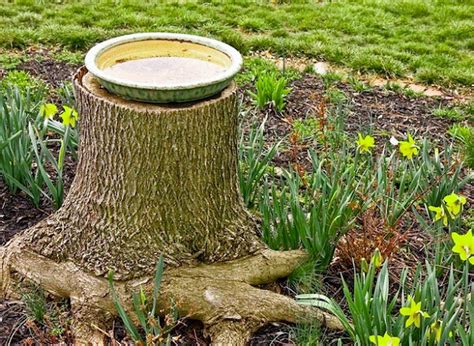 10 Amazing Tree Stump Ideas For The Garden Balcony Garden Web