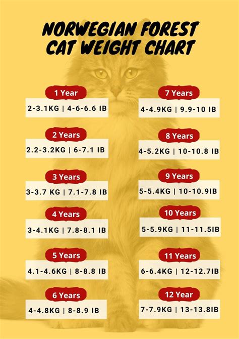 cat weight chart by age kg