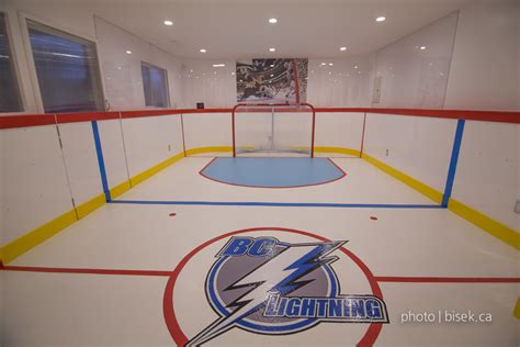 Basement Renovation With Indoor Hockey Rink Eclectic Basement