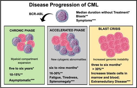 Cureus The Progression Of Chronic Myeloid Leukemia To Myeloid Sarcoma