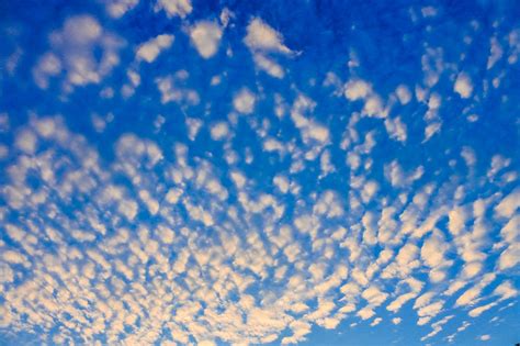 Cirrus Clouds In Sky · Free Stock Photo