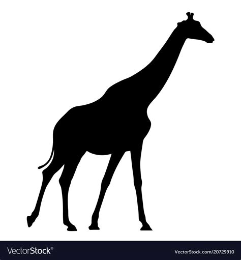 Black Silhouette Giraffe On White Background Vector Image
