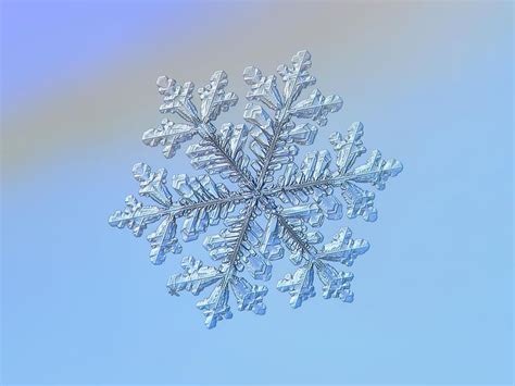 Real Snowflake Hyperion By Alexey Kljatov Snowflakes Real