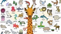 All Animals In The World Alphabetical Order